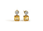 Load image into Gallery viewer, Duo Drop Earrings in Amber Dream
